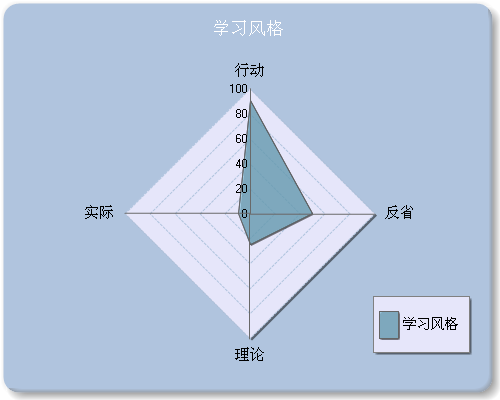 学习风格报告