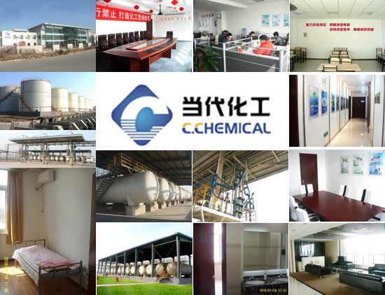 天津当代化工贸易有限公司