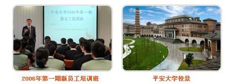 天津市平安保险公司在哪坐什么车